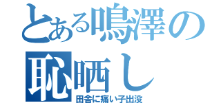 とある鳴澤の恥晒し（田舎に痛い子出没）