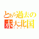 とある過去の赤大北国（ソビエト）