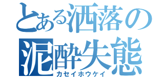 とある洒落の泥酔失態（カセイホウケイ）