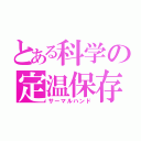 とある科学の定温保存（サーマルハンド）