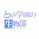 とある学園の生物部（キテネ☆）