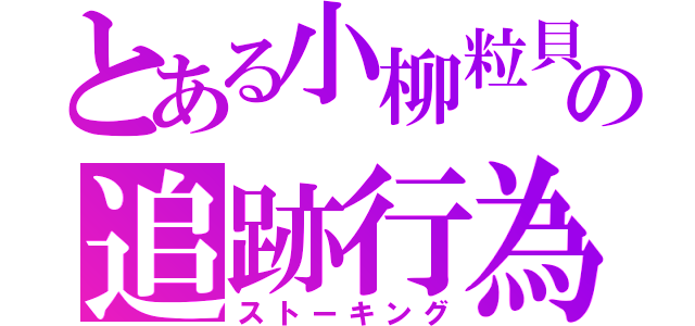 とある小柳粒貝の追跡行為（ストーキング）