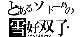 とあるソドー島の雪好双子（ドナルド＆ダグラス）