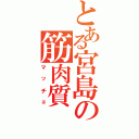 とある宮島の筋肉質Ⅱ（マッチョ）