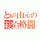 とある山元の総合格闘技（バイオレンス）