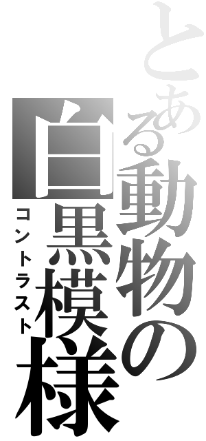 とある動物の白黒模様（コントラスト）