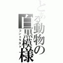 とある動物の白黒模様（コントラスト）