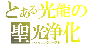 とある光龍の聖光浄化（シャイニングバースト）