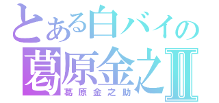 とある白バイの葛原金之助Ⅱ（葛原金之助）