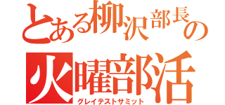 とある柳沢部長の火曜部活（グレイテストサミット）