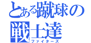 とある蹴球の戦士達（ファイターズ）