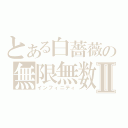 とある白薔薇の無限無数Ⅱ（インフィニティ）