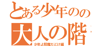 とある少年のの大人の階段（少年よ邪魔だどけ編）