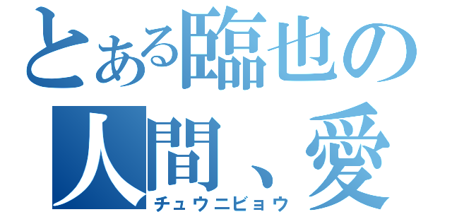 とある臨也の人間、愛（チュウニビョウ）