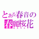 とある春音の春麗桜花（はるちん）