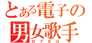 とある電子の男女歌手（カプセル）