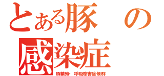 とある豚の感染症（豚繁殖・呼吸障害症候群）