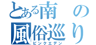 とある南の風俗巡り（ピンクエデン）