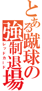 とある蹴球の強制退場（レッドカード）