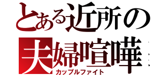 とある近所の夫婦喧嘩（カップルファイト）