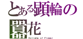 とある顕輪の囂花（Ｅｘｔｒｅｍｅ ｏｆ Ｆｌｏｗｅｒ）