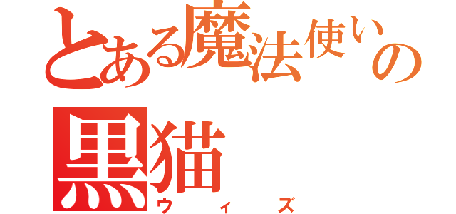 とある魔法使いの黒猫（ウィズ）