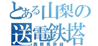 とある山梨の送電鉄塔（西群馬幹線）