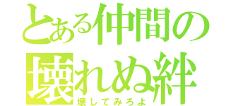 とある仲間の壊れぬ絆（壊してみろよ）