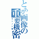 とある画像の重要機密（キャノン砲）