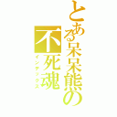 とある呆呆熊の不死魂Ⅱ（インデックス）