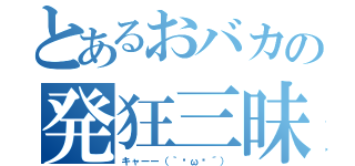 とあるおバカの発狂三昧（キャーー（｀·ω·´））