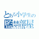 とある小学生の監禁部屋（ヒカルの部屋）