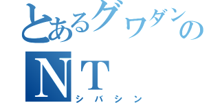 とあるグワダンのＮＴ（シバシン）