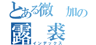 とある微 加の露 裘（インデックス）