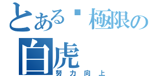 とある拼極限の白虎（努力向上）