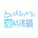 とある幻の氷山の凍結迷猫（アイスキャット）