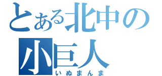 とある北中の小巨人（いぬまんま）