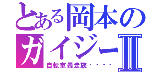 とある岡本のガイジーズⅡ（自転車暴走族🚲）