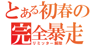 とある初春の完全暴走（リミッター解除）