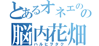 とあるオネエのの脳内花畑（ハルヒヲタク）