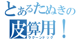 とあるたぬきの皮算用！！（ラクーンドッグ）