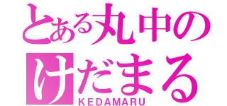 とある丸中のけだまる（ＫＥＤＡＭＡＲＵ）