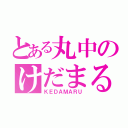 とある丸中のけだまる（ＫＥＤＡＭＡＲＵ）