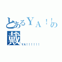 とあるＹＡ！！の戴（ＹＡ！！！！！！）