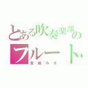 とある吹奏楽部のフルート（宮越みき）