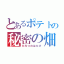 とあるポテトの秘密の畑（ひみつのはたけ）