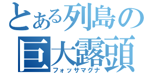 とある列島の巨大露頭（フォッサマグナ）