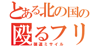 とある北の国の殴るフリ（弾道ミサイル）