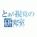 とある視覚の研究室（ＶＩＡＬ）