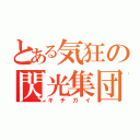 とある気狂の閃光集団（キチガイ）